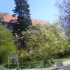 P1020477 (488x650)
